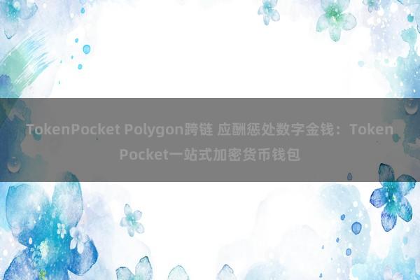 TokenPocket Polygon跨链 应酬惩处数字金钱：TokenPocket一站式加密货币钱包